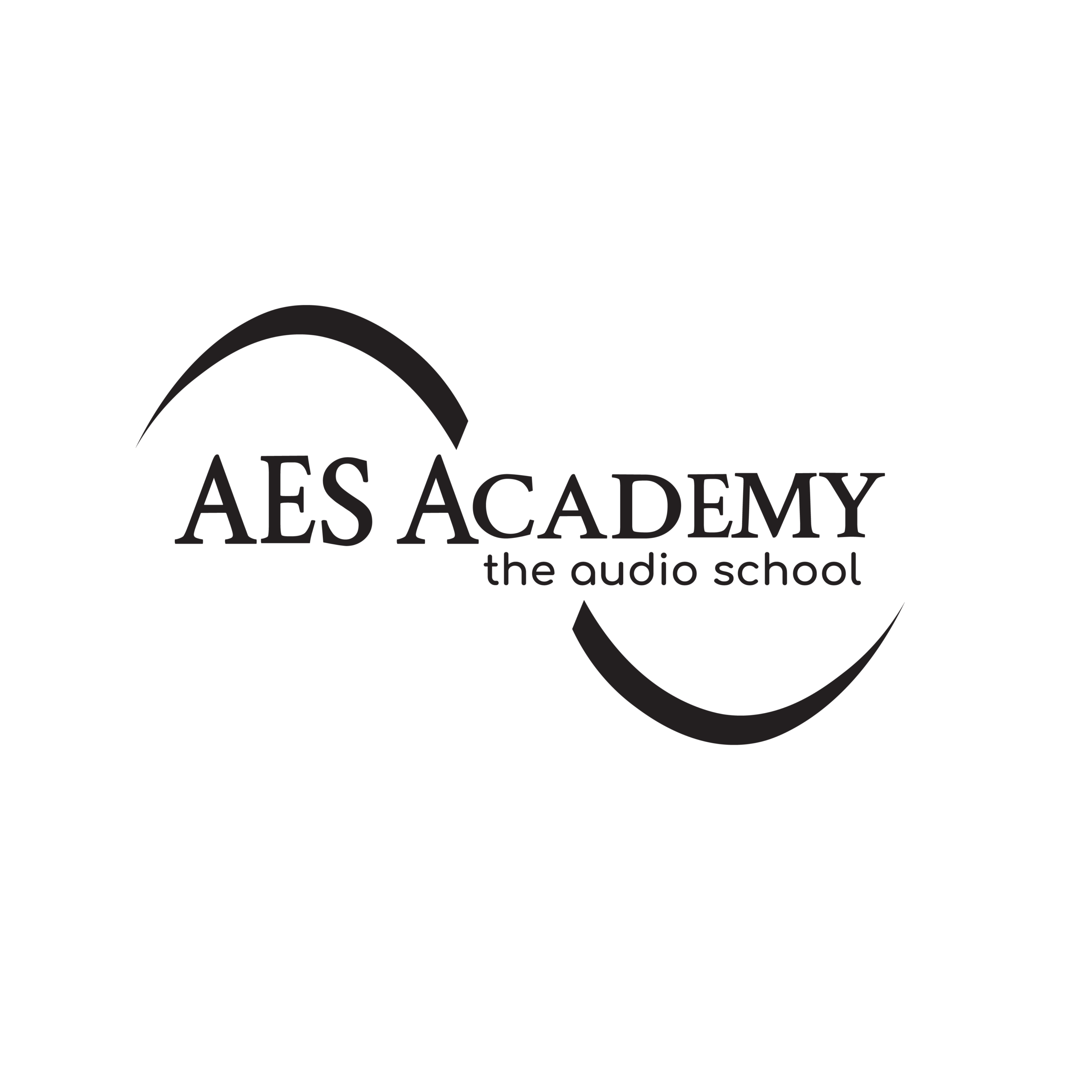AES Academy Logo-03 Grey