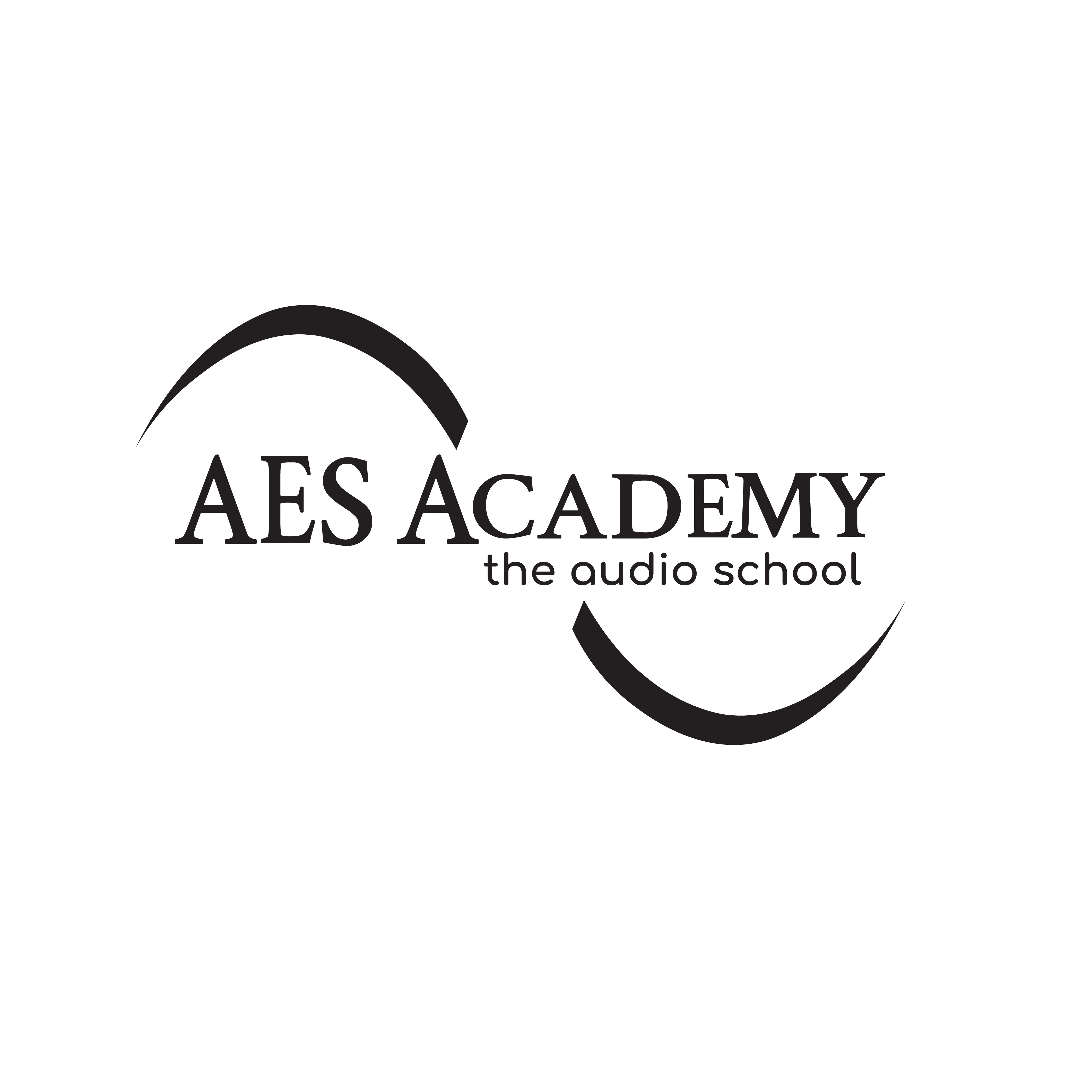 AES Academy Logo-03 Grey