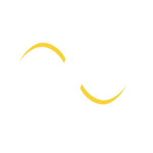 AES Academy Logo White Yellow