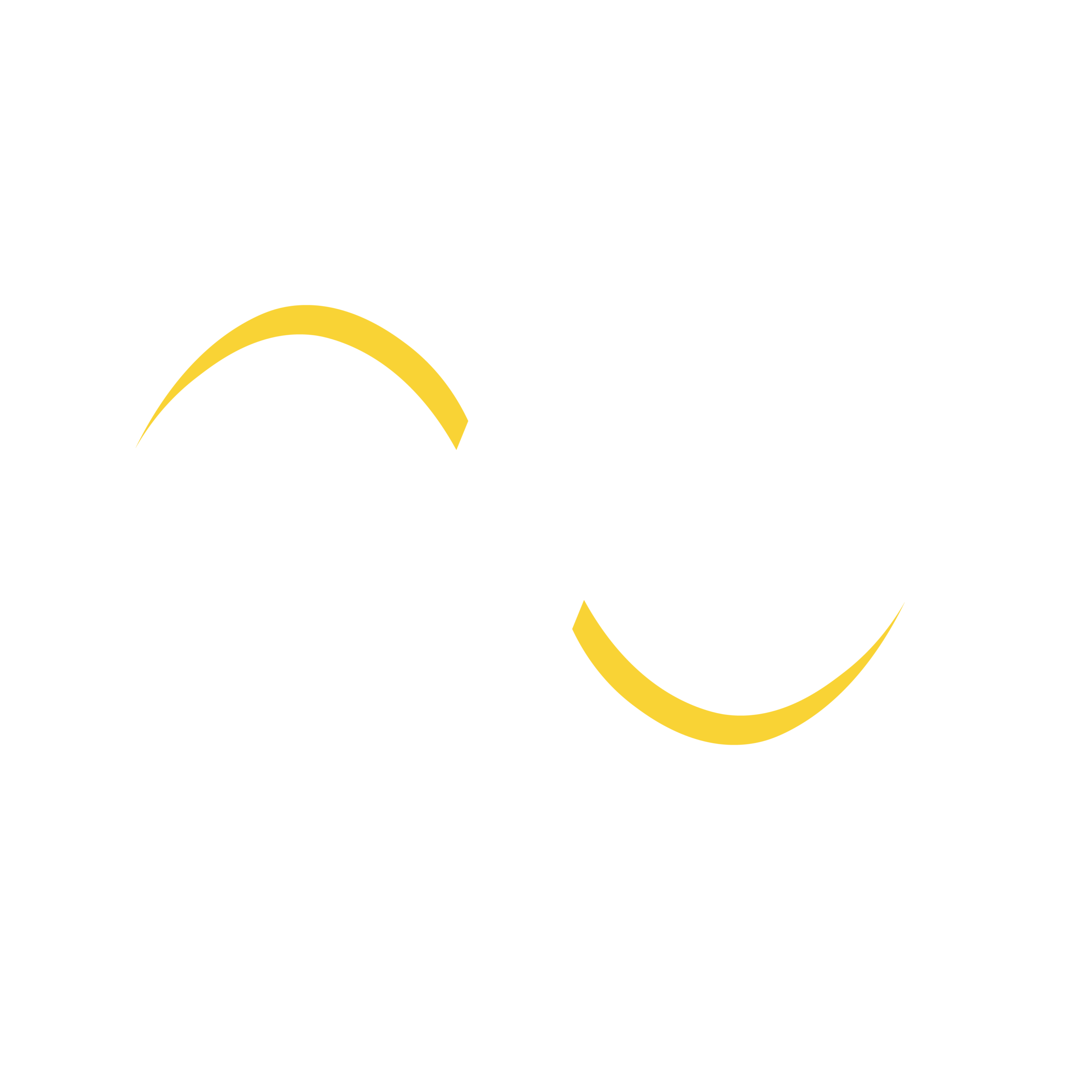 AES Academy Logo White Yellow